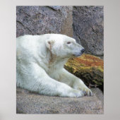 Blick nach Norden Poster (Vorne)