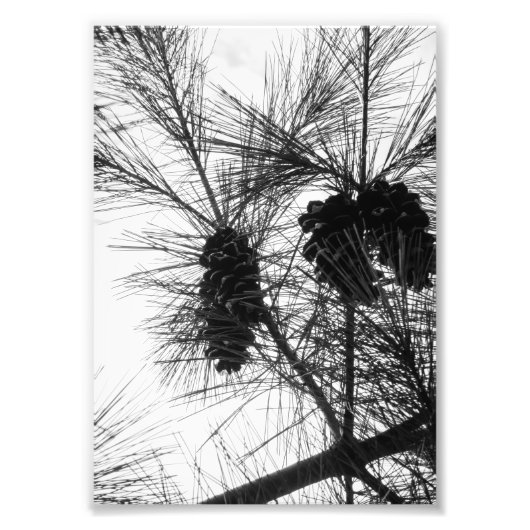 Blick nach oben fotodruck (Vorne)