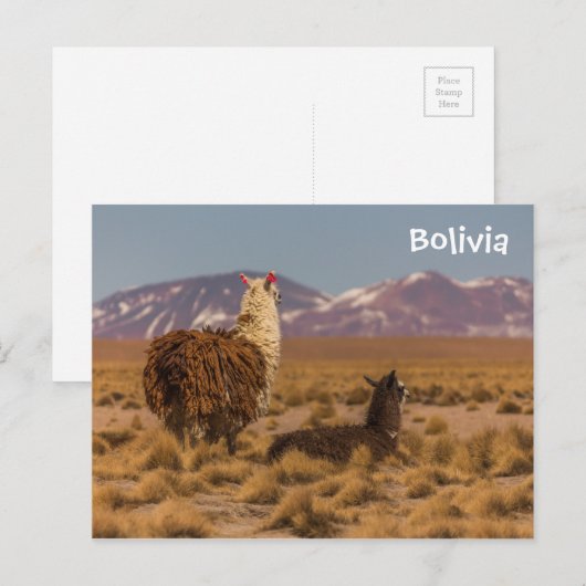 Blick nach vorne postkarte (Vorne/Hinten)