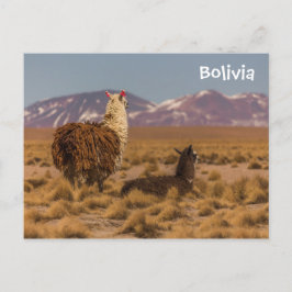 Blick nach vorne postkarte