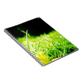 Blick Notizblock (Rechte Seite)