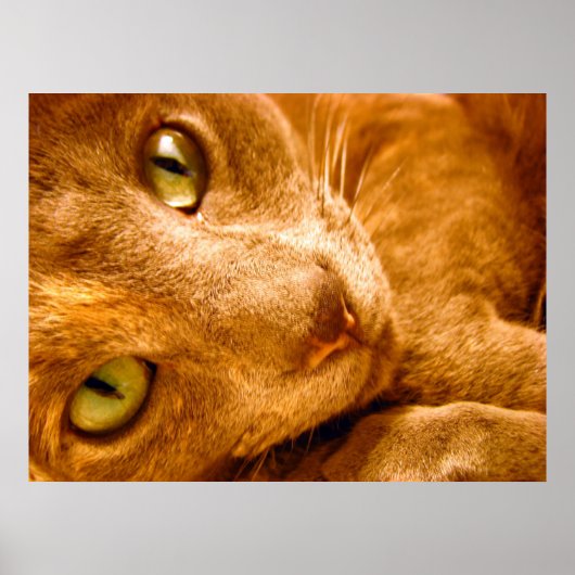 Blick Poster (Vorne)