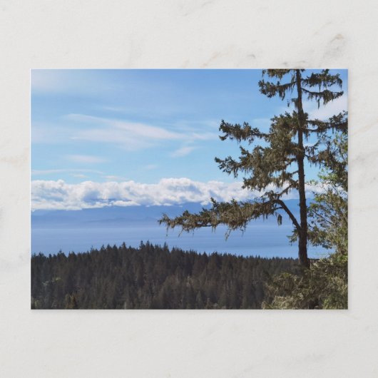 Blick über die Bäume von East Sooke, BC, Kanada Postkarte (Vorderseite)