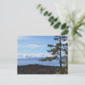 Blick über die Bäume von East Sooke, BC, Kanada Postkarte (Stehend Vorderseite)