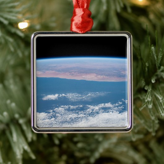 Blick über die Südwestküste Afrikas. Ornament Aus Metall (Baum)