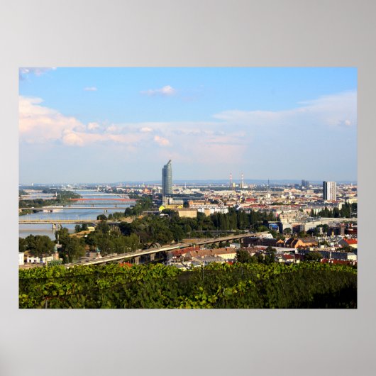 Blick über Wien Poster (Vorne)