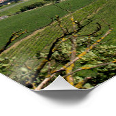 Blick über Wien von Kahlenberg aus Poster (Ecke)