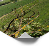 Blick über Wien von Kahlenberg aus Poster (Ecke)