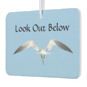 Blick unter Royal Tern im Flug Autolufterfrischer (Links)