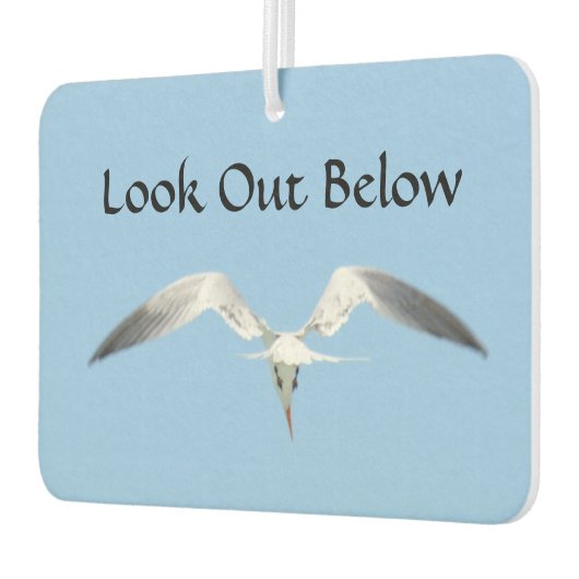 Blick unter Royal Tern im Flug Autolufterfrischer (Links)