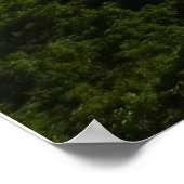 Blick vom Appalachian Trail, Grayson Highlands Poster (Ecke)