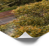 Blick vom Buninyong-Glossposter Poster (Ecke)