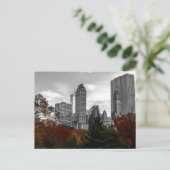 Blick vom Central Park in New York City Postkarte (Stehend Vorderseite)