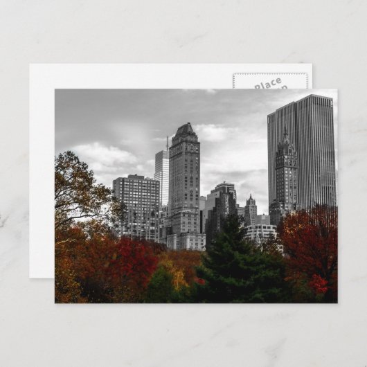 Blick vom Central Park in New York City Postkarte (Vorne/Hinten)