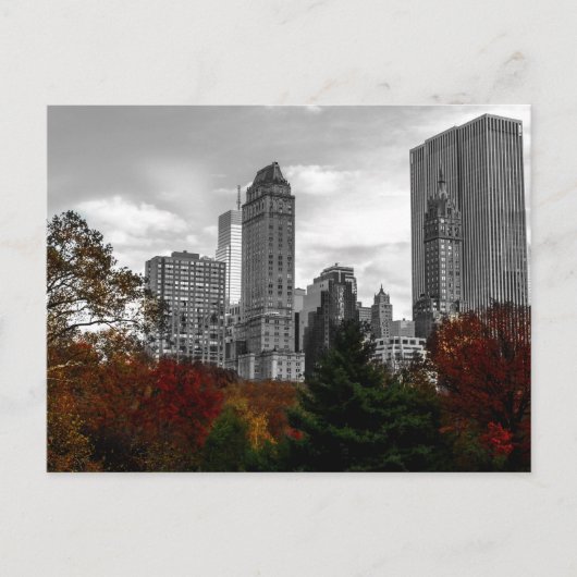 Blick vom Central Park in New York City Postkarte (Vorderseite)