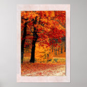 Blick vom glatten Waldfall des Fensters Poster (Vorne)