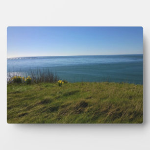 Blick vom Kap Enttäuschung Leuchtturm, WA Fotoplatte