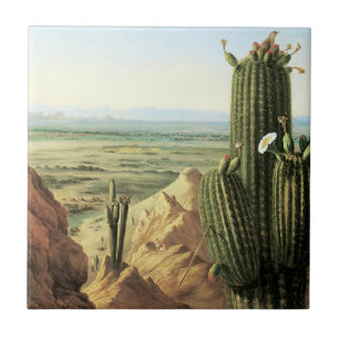 Blick vom Maricopa-Berg in der Nähe des Gila River Fliese