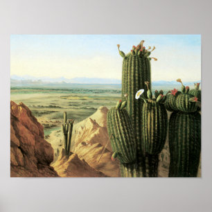 Blick vom Maricopa-Berg in der Nähe des Gila River Poster