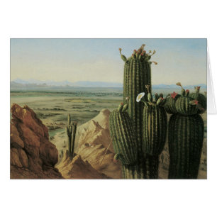 Blick vom Maricopa Mountain bei Rio Gila von Pratt
