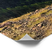 Blick vom Mount Howard Summit, OR Poster (Ecke)