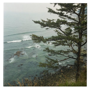 Blick vom Simpson Reef Overlook, Oregon-Küste Fliese