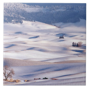 Blick vom Steptoe Butte auf rollende Hügel bedeckt Fliese