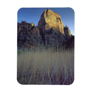 Blick vom Virgin River Überschwemmungsgebiet, Zion Magnet