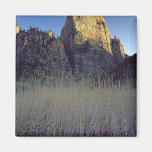 Blick vom Virgin River Überschwemmungsgebiet, Zion Magnet