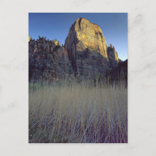 Blick vom Virgin River Überschwemmungsgebiet, Zion Postkarte
