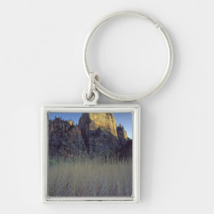 Blick vom Virgin River Überschwemmungsgebiet, Zion Schlüsselanhänger