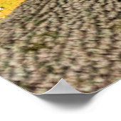 Blick vom Waldboden aus Poster (Ecke)