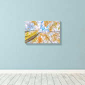 Blick vom Waldboden Stretched Leinwand (Insitu (Holzboden))