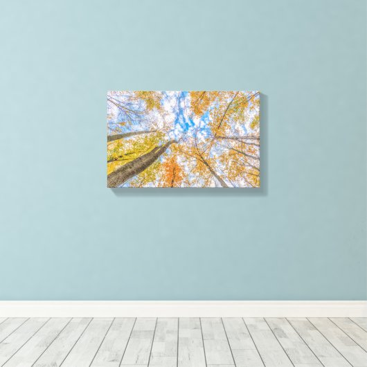 Blick vom Waldboden Stretched Leinwand (Insitu (Holzboden))