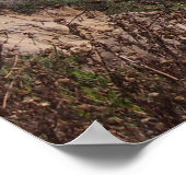 Blick vom Weg (Del Mar) Poster (Ecke)