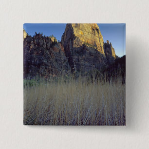 Blick von der Virgin River-Aue, Zion Canyon Button
