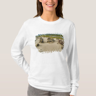 Blick von einem sandigen Hügel auf Seen und Hügel T-Shirt