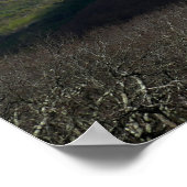 Blick von Marias Felsen Poster (Ecke)