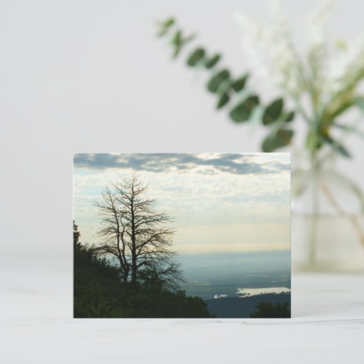 Blick von Morrison, Colorado Postkarte (Stehend Vorderseite)