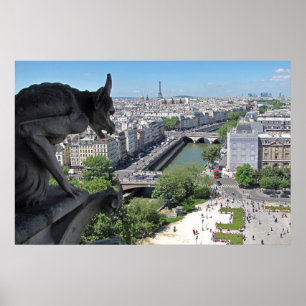 Blick von Notre Dame de Paris (Poster) Poster