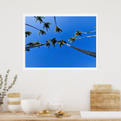Blick von oben auf Palmen Poster (Küche)