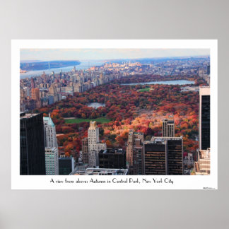 Blick von oben: Herbst im Central Park 01C Poster