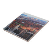 Blick von oben: Herbst im Zentralpark 01 Fliese (Seite)