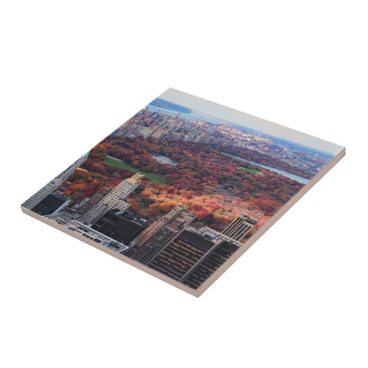 Blick von oben: Herbst im Zentralpark 01 Fliese (Seite)