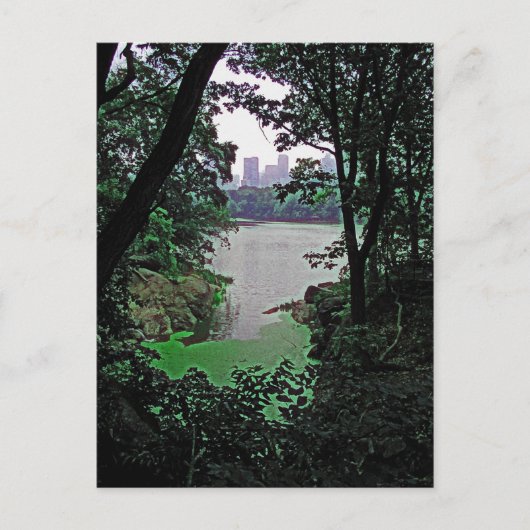 Blick von Ramble-Central Park - Kolorierte Postkar Postkarte (Vorderseite)