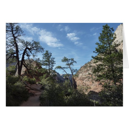Blick von Scout Lookout auf den Zion Nationalpark (Vorderseite (Horizontal))