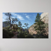 Blick von Scout Lookout auf den Zion Nationalpark Poster (Vorne)