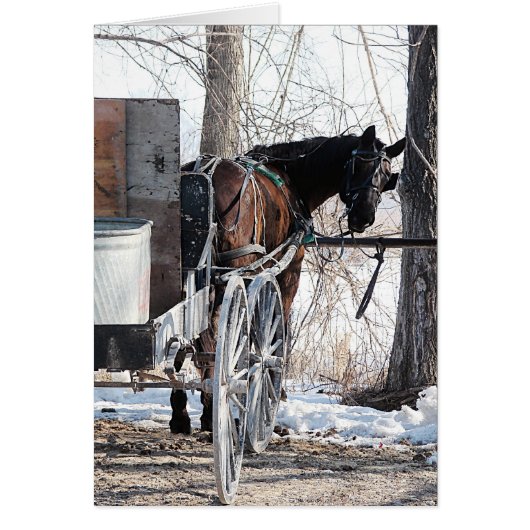 Blick zurück auf die Jeden Anlaß des Pferdes, die  (Vorne)