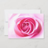 Blickende Rose (Vorderseite)