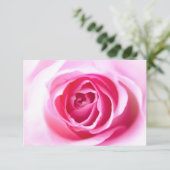 Blickende Rose (Stehend Vorderseite)